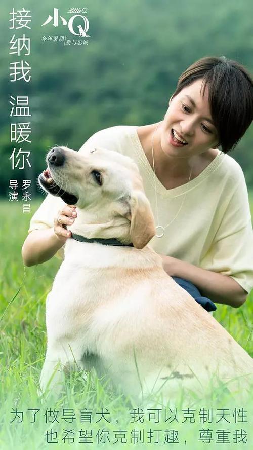 留学高中毕业证认证
